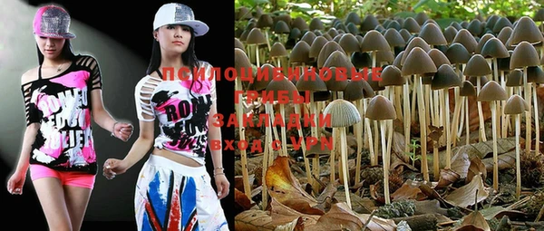 PSILOCYBIN Белокуриха