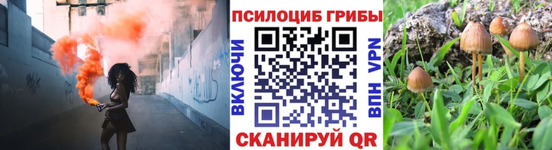 Купить закладки  Лаишево  Псилоцибиновые грибы прущие грибы 